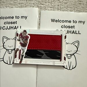 Panini National Treasure Patch Card Accent